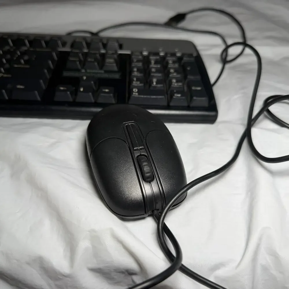 Genuine HP 104 Keys Standard Black/Silver USB-Wired Keyboard KU-0316 With Mouse